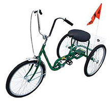 IBIKE-3-DC-G Image