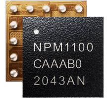 NPM1100-CAAB-R7 Image