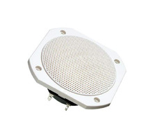 FRS 10 WP - 8 OHM (WHITE) Image