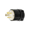 NEMA L7-20 PLUG Image