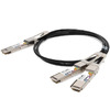 QSFPDD-200G-2QSFP28-PDAC2M-C Image