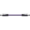 CAT6 PVC-095FT Image