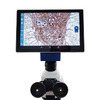 VE-SCOPEPAD 300 Image