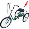 IBIKE-3-DC-G Image