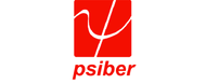 Psiber Data Systems, Inc.